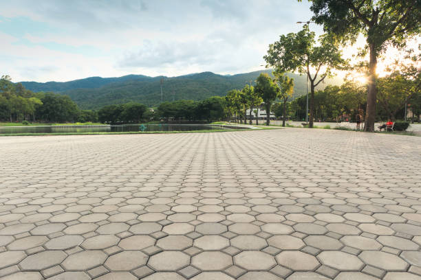 Best Local Driveway Pavers  in Northbrook, OH